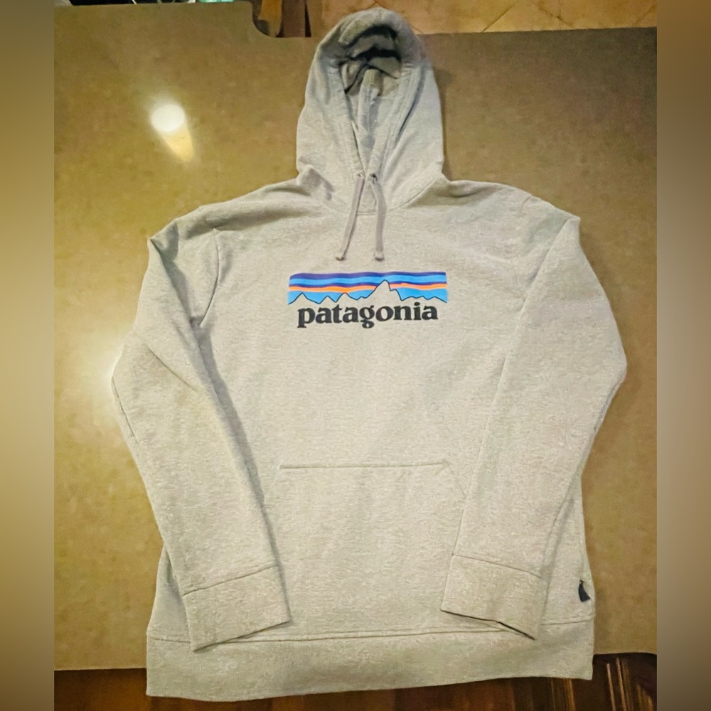 Patagonia / Men's Text Logo Uprisal™® Hoody / Gray Large